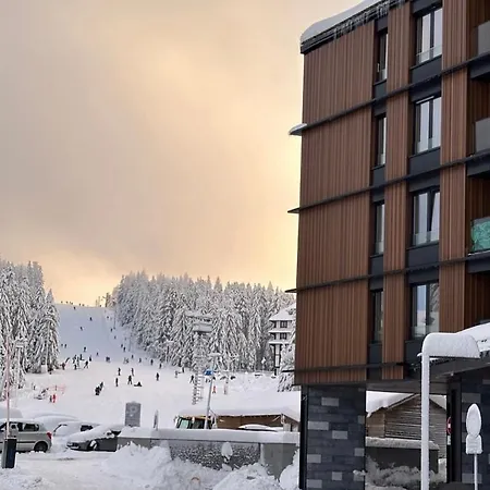 Woodside Kopaonik